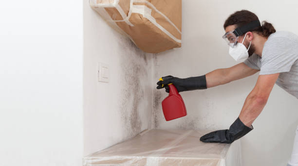 Professional Bathroom Mold Removal technician working in Belmont, PA